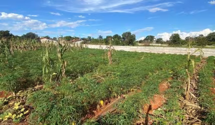 Terreno à venda no bairro Sobradinho - Patos de Minas/MG