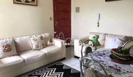 Apartamento com 02 dormitórios na Vila Perracini - Cód.: 10911