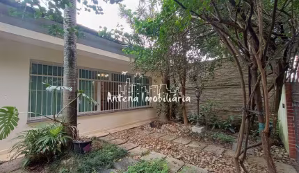 Casa com 03 dormitórios na Vila Mariana - Cód.: 11543