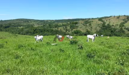 Fazenda Rural, Nova Aurora - GO