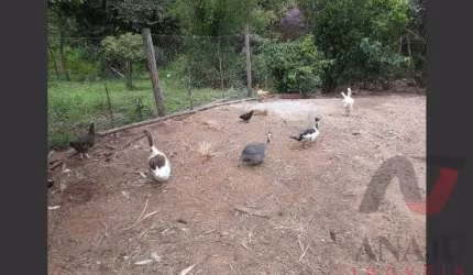 Rancho / Sítio Centro, Tambaú - SP