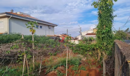 Terreno padrão (rua) Vila Monte Alegre, Ribeirão Preto - SP