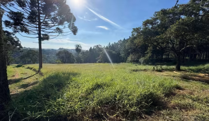 Área à venda em Terra Preta Mairiporã/SP - 48.000m² Próxima à Rodovia!
