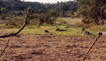 Terreno escriturado, amplo, com boa topografia e bem localizado em Atibaia!
