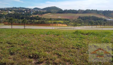 Lote Alphaville