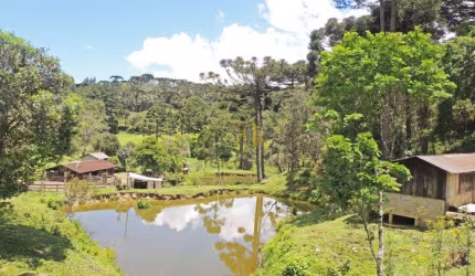 Fazenda à venda, 2651420 m² por R$ 26.600.000 - Taquari - Campina Grande do Sul/PR