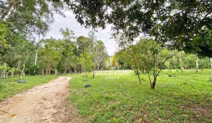 Área à venda, 187800 m² por R$ 4.800.000,00 - Cerro Azul - Cerro Azul/PR