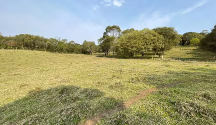 Chácara à venda, 16175 m² por R$ 250.000,00 - Papanduva - Bocaiúva do Sul/PR