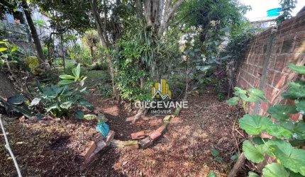 Terreno à venda, 500 m² por R$ 650.000,00 - Bairro Alto - Curitiba/PR
