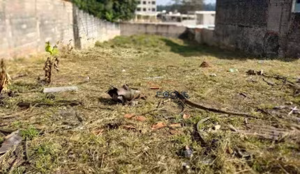 Terreno à venda, 980 m² por R$ 1.235.000 - Colônia - Jundiaí/SP - Focus Gestão Imobiliária