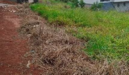 Terreno à venda, 200 m² por R$ 75.000,00 - Zona Rural - Ouro Fino/MG