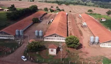 VENDA | Sítio,  em Rural, Ângulo