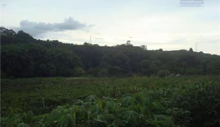 Chácara residencial à venda, Bairro Paiol Velho, Vinhedo - CH0093.