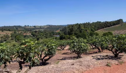 Sítio à venda, 57000 m² por R$ 1.300.000,00 - Centro - Morungaba/SP