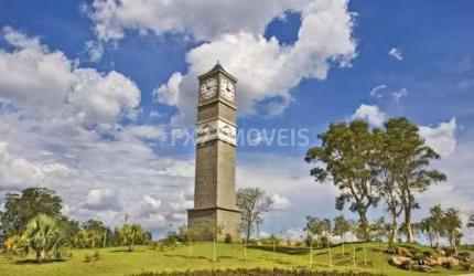 Terreno comercial no Swiss Park