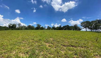 Sítio / Fazenda à venda, Nova Suiça - Piracicaba/SP