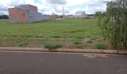 terreno a venda São Geraldo - Saltinho