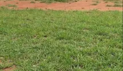 Terreno em Condomínio à venda, Taquaral - Piracicaba/SP