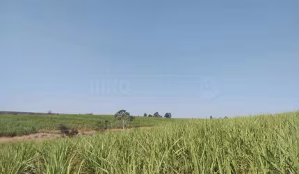 Área à venda, Área Rural de Rio das Pedras - Rio das Pedras/SP