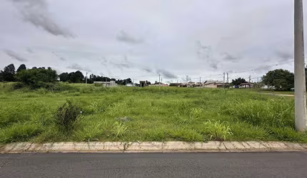 Terreno à venda, Nova Saltinho - Saltinho/SP
