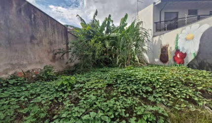 Terreno à venda, Terra Nova - Piracicaba/SP