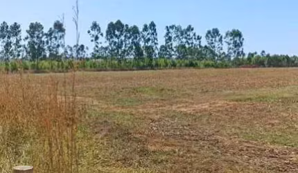 Chácara para Venda em Cocalzinho de Goiás, Zona Rural, 2 dormitórios, 1 banheiro, 1 vaga
