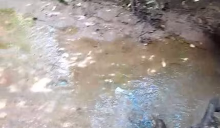 Chácara para Venda em Corumbá de Goiás, Zona  Rural, 2 dormitórios, 1 banheiro, 1 vaga