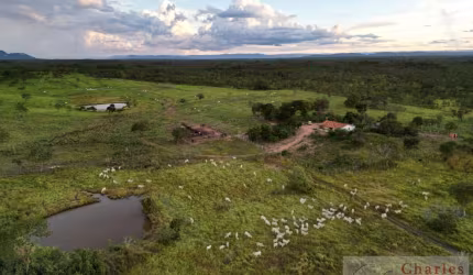 Fazenda para Venda em Paranã, Zona Rural, 4 dormitórios, 1 suíte, 2 banheiros, 2 vagas