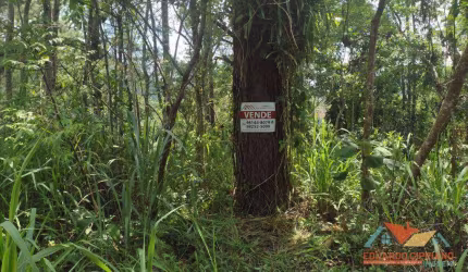 Terreno à venda, 480 m² por R$ 250.000,00 - Jardim Capricórnio - Caraguatatuba/SP