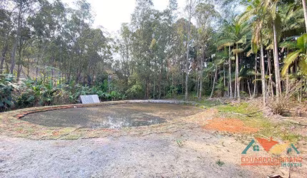 Terreno à venda, 5300 m² por R$ 260.000,00 - Espírito Santo - Paraibuna/SP