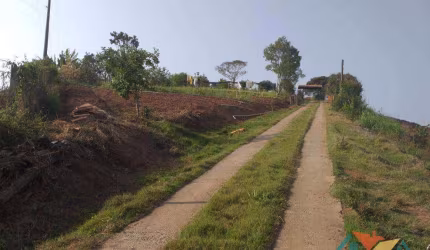 Chácara com 3 dormitórios à venda, 30000 m² por R$ 1.500.000,00 - Zona Rural - Paraibuna/SP
