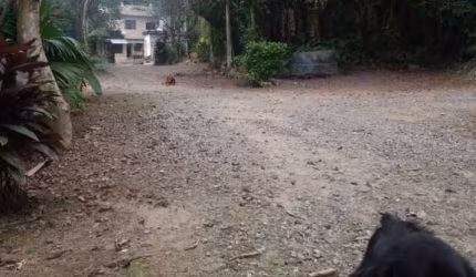 Vende-se terreno no Morro da Nova Cintra por R$ 640.000,00