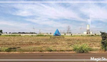 Terreno à venda, 238 m² por R$ 210.000,00 - Jardim San Marino - Santa Bárbara D'Oeste/SP