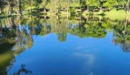 MAGNIFICO SÍTIO 25 ALQUEIRES