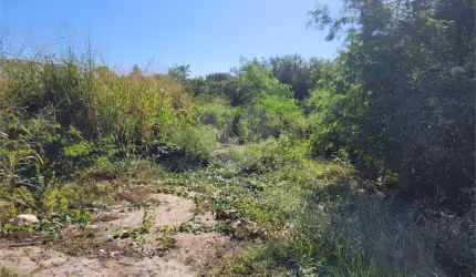 Terreno à venda em Caravelas - RJ