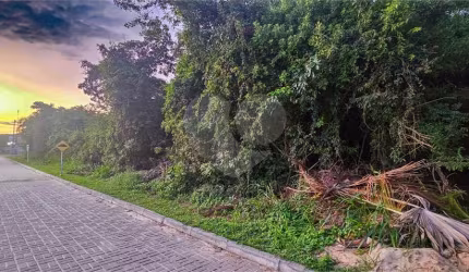 Terreno à venda em Caravelas - RJ