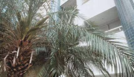 Apartamento modernizado em Moema pássaros, com 2 dormitórios, sendo 1 suíte, e 2 vagas de garagem