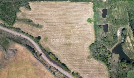 Você, seu projeto e um terreno em Witmarsum