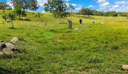 Fazenda à venda, 1 quarto, Alberto Isaacson - MARTINHO CAMPOS/MG