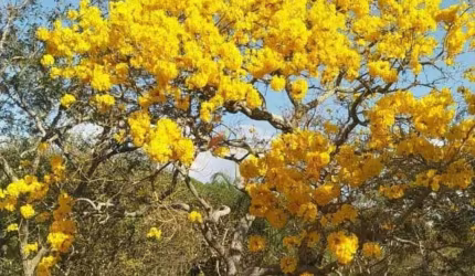 Condomínio Recanto do Beija Flor