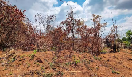 Lote à venda, Jardim Candidés - Divinópolis/MG