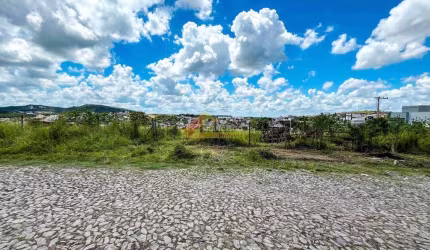 Lote localizado no bairro São Roque