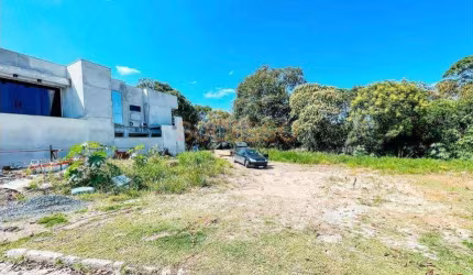 Terreno para Venda em Brusque, Primeiro de Maio