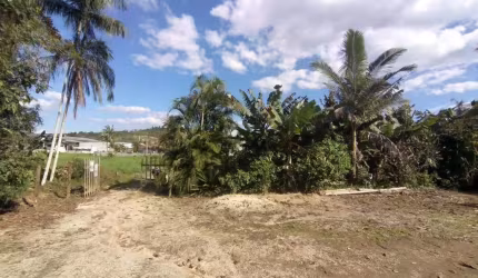 Terreno para Venda em Guabiruba, SÃO PEDRO