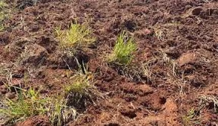 Terreno à venda, 1596 m² por R$ 1.353.410,00 - Condomínio Empresarial Panamericano - Sorocaba/SP