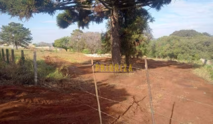 OPORTUNIDADE! Terreno à venda, 18000 m² por R$ 760.000 - Jucurupava - Salto de Pirapora/SP