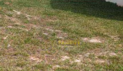 Terreno à venda, 250 m² por R$ 403.000,00 - Condomínio Ibiti Reserva - Sorocaba/SP