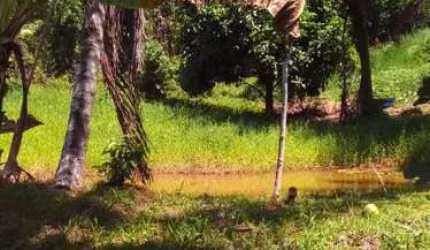 Sítio para Venda em Itaparica, 5 dormitórios, 1 suíte, 2 vagas