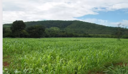 Excelente Fazenda em Curvelo-MG