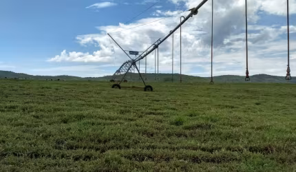 Fazenda maravilhosa em Manga-MG